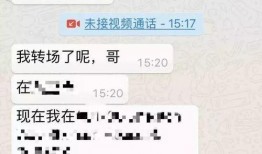爆料新加坡花场视频在线观看,一场视觉盛宴的在线直播